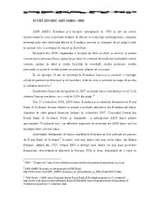 Analiza identității organizației ABN AMRO - RBS și planificarea unei campanii de relații publice - Pagina 2