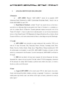 Analiza identității organizației ABN AMRO - RBS și planificarea unei campanii de relații publice - Pagina 4