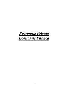 Economie publică și privată - Pagina 1
