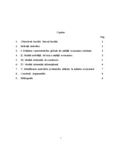 Studiul și Analiza Sistemului Informațional Existent - Pagina 2