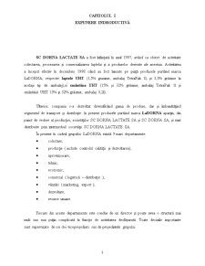Plan de marketing - SC Dorna Lactate SA Vatra Dornei - Pagina 2