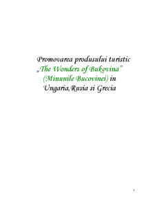 Management Intercultural - Grecia, Ungaria, Rusia - Pagina 2