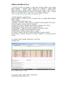 Executarea funcțiilor în Excel - Pagina 4