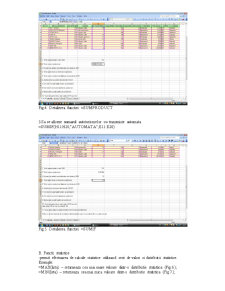 Executarea funcțiilor în Excel - Pagina 5