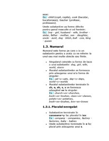 Gramatica limbii engleze - Pagina 2