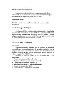 Evaluarea întreprinderii - SC Gasudo SRL - Pagina 4