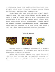 Caracterizarea generală a măslinelor - Pagina 4