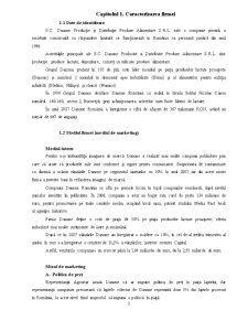 Analiza Sistemului de Distribuție la Nivelul Firmei Danone - Pagina 3