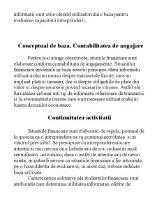 Cadrul Contabil General - Pagina 3
