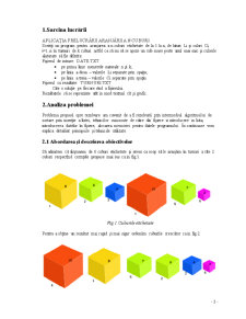 Aplicația Prelucrării Aranjarii a N Cuburi - Pagina 3