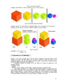 Aplicația Prelucrării Aranjarii a N Cuburi - Pagina 4