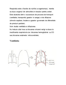 Fiziologia și fiziopatologia respirației - Pagina 3