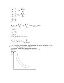Probleme Rezolvate - Microeconomie - Pagina 3
