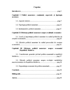 Politica monetară - factor activ al tranziției în țările centrale și est-europene - Pagina 1