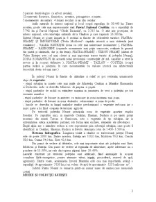 Județul Neamț - Pagina 3