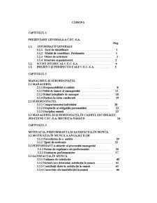 Studiul relației manager-angajat în cadrul sucursalei CEC SA Bistrița-Năsăud - Pagina 2