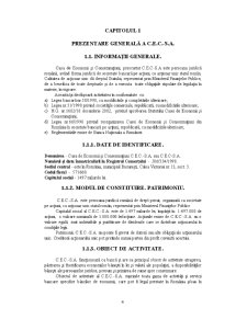 Studiul relației manager-angajat în cadrul sucursalei CEC SA Bistrița-Năsăud - Pagina 4