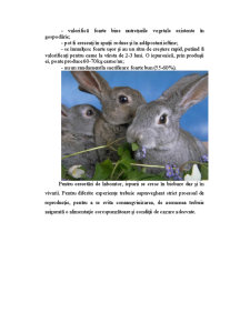 Creșterea iepurilor și creșterea păstrăvului - Pagina 4