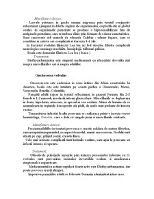 Filarii - Pagina 5