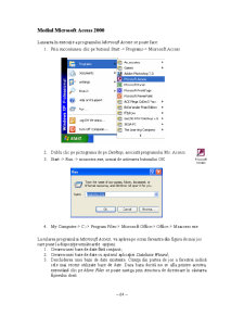 Suport Curs - Microsoft Access - Pagina 4