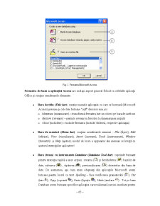 Suport Curs - Microsoft Access - Pagina 5