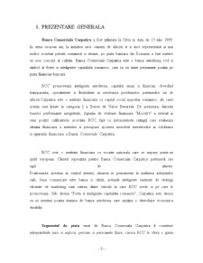 Analiza principalilor indicatori ai Băncii Comerciale Carpatica - BCC - Pagina 3