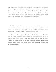 Analiza principalilor indicatori ai Băncii Comerciale Carpatica - BCC - Pagina 4