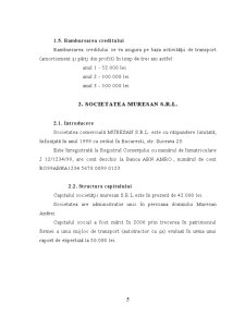 Studiu de fezabilitate pentru dezvoltarea societății Mureșan SRL - Pagina 5
