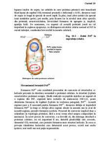 Neurobiologie - Pagina 5