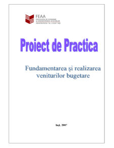 Proiect de practică - SC Iasitex Iași - Pagina 1