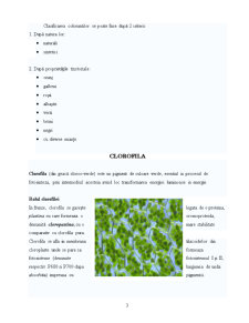 Clorofila - colorant natural E 140 - Pagina 3
