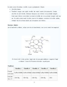 Clorofila - colorant natural E 140 - Pagina 4