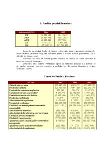 Gestiunea financiară a intrepinderii - SC Antibiotice SA - Pagina 4