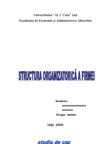 Structura Organizatorică a Firmei - Pagina 1