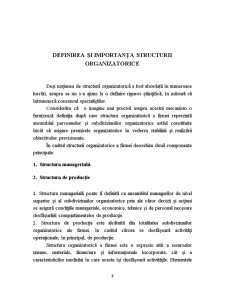 Structura Organizatorică a Firmei - Pagina 3