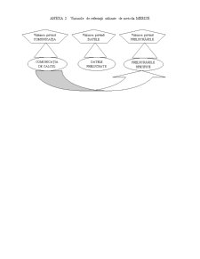 Proiectarea unui Sistem Informatic Privind Contabilizarea Imobilizărilor Corporale - Pagina 3