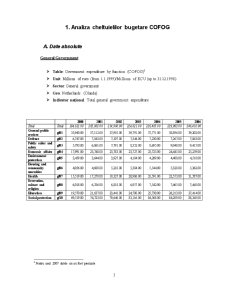 Analiza Bugetului Olandei pe Perioada 2000-2007 - Pagina 3