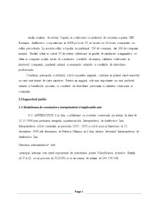 Proiect de investiții - SC Antibiotice SA - Pagina 4