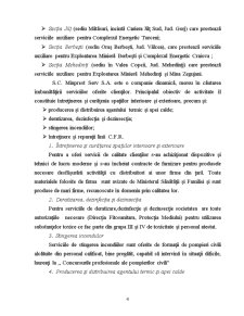 Studiu Privind Contabilitatea Drepturilor de Personal la SC Minprest Serv SA Rovinari - Pagina 2