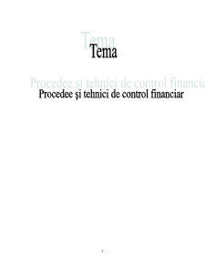 Control Financiar - Pagina 2