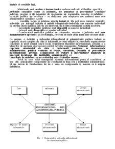Utilizarea sistemului informațional în administrația publică - Pagina 3