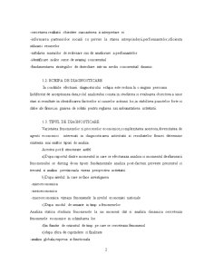 Diagnosticarea societății SC Zahărul Românesc SA - Pagina 2