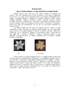 Ecologie Spirituală - Pagina 4