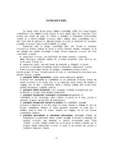 Studiu Privind Contabilitatea Activelor Imobilizate la Muzeul de Etnografie Maramureș - Pagina 4