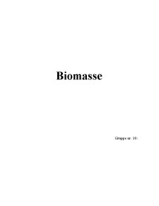 Biomasse - Pagina 1