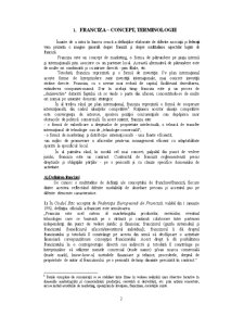 Contractul de franciză - studiu de caz - McDonald’s - Pagina 2