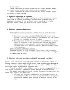 Principiile contabilității - Pagina 3