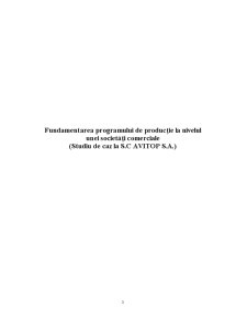 Fundamentarea programului de producție la nivelul unei societăți comerciale - studiu de caz la SC Avitop SA - Pagina 2
