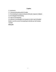 Benchmarking-ul în Cadrul Proiectelor și Programelor - Pagina 2