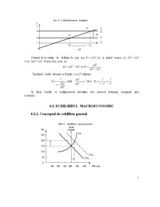 Teoria VN și Echilibrul Macroeconomic - Pagina 5